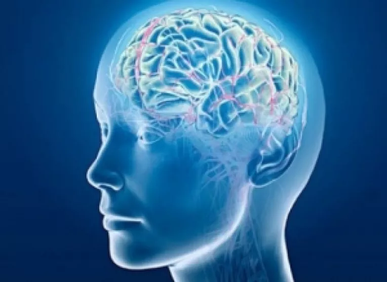 Corpul omului - un misterios computer