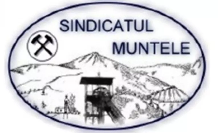 Solutiile Sindicatului Muntele pentru salvarea de la intrarea in insolventa a Complexului Energetic Hunedoara