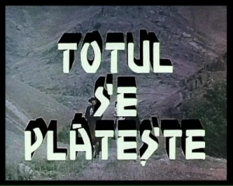 Sondaje de opinie: Credibilitatea Guvernului Boc in continua scadere