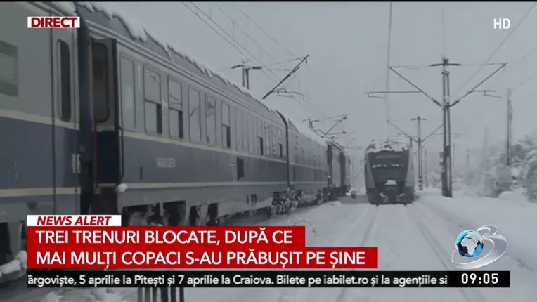 Trei trenuri blocate dupa ce mai multi copaci s-au prabusit pe sine