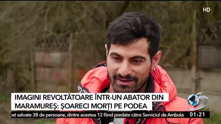 Un fost angajat a aratat ce se intampla cu adevarat intr-un abator din Maramures